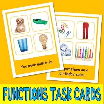 FUNCTIONS PHOTO TASK CARDS inferences autism aba speech therapy activity